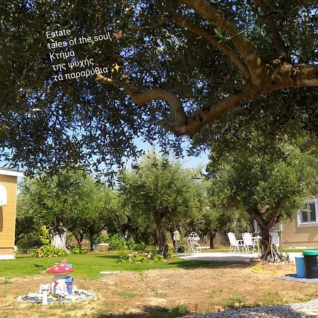 Bungalows With Private Pools "Tales Of The Soul - Της Ψυχής Τα Παραμύθια" Anemochori Extérieur photo