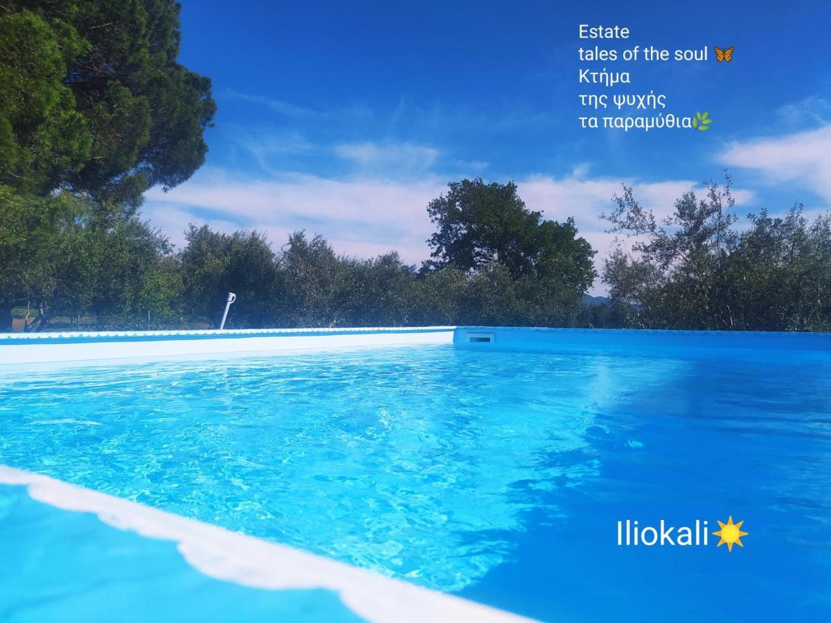 Bungalows With Private Pools "Tales Of The Soul - Της Ψυχής Τα Παραμύθια" Anemochori Extérieur photo